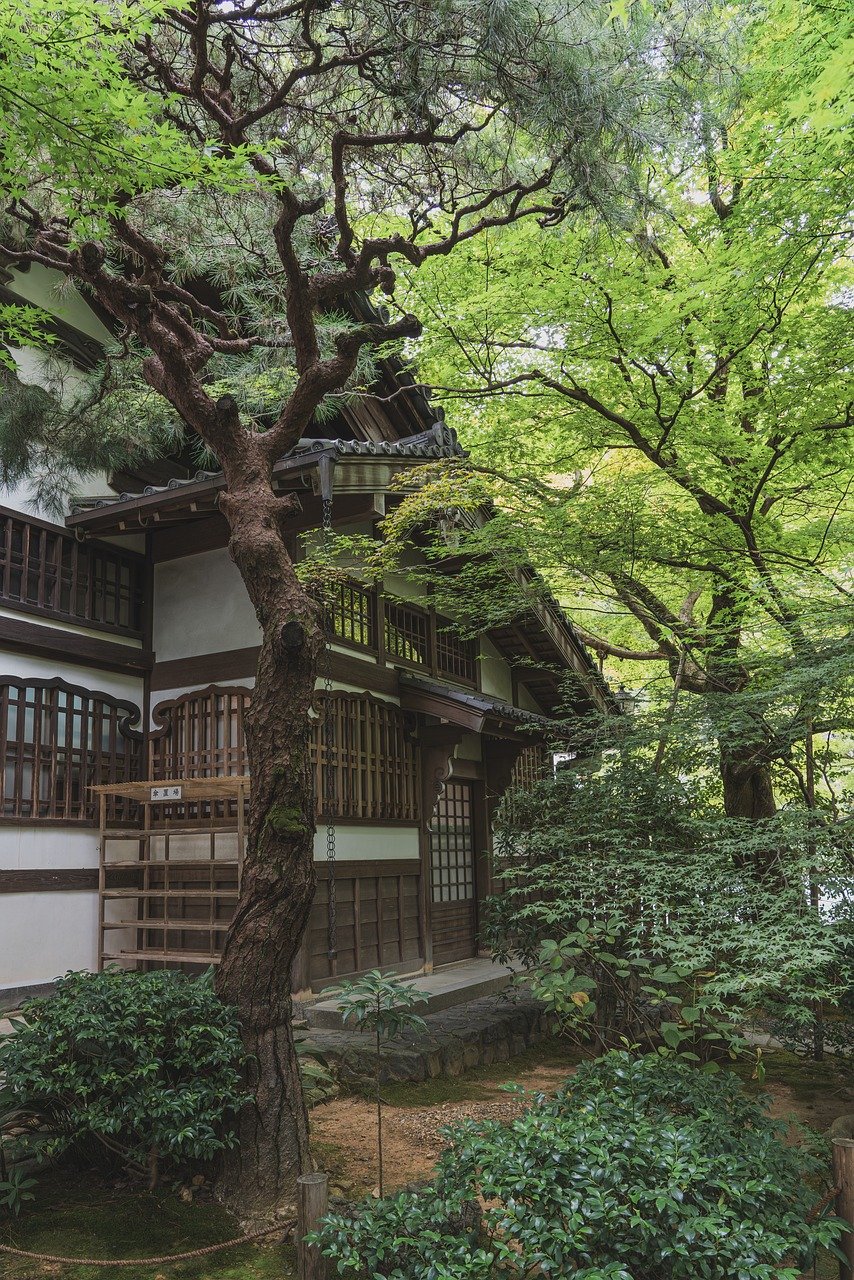 ryoan-ji, ryoan-ji temple, japanese, zen, garden, culture, temple, religion, zen temple, nature, world heritage, unesco world heritage site, sightseeing, japan